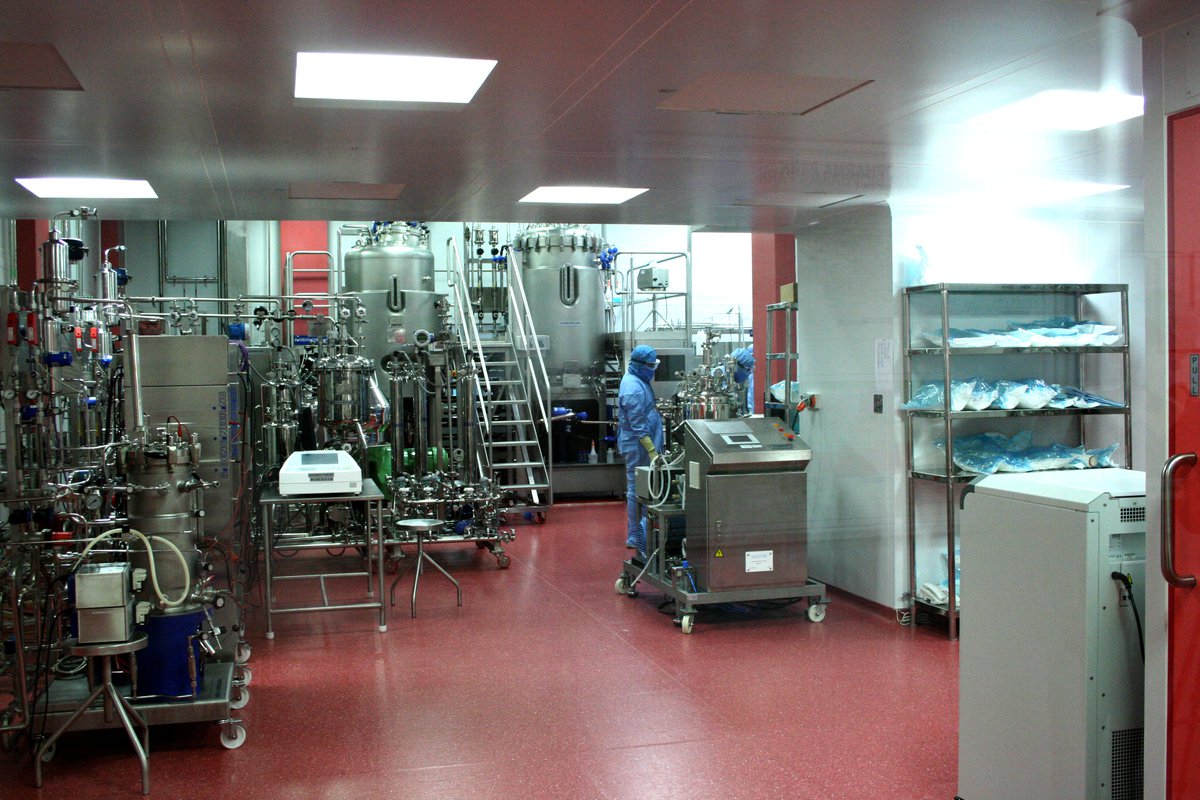 Workers manufacturing vaccines