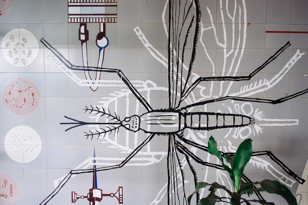 A wall mural of mosquitoes and microscopic organisms.