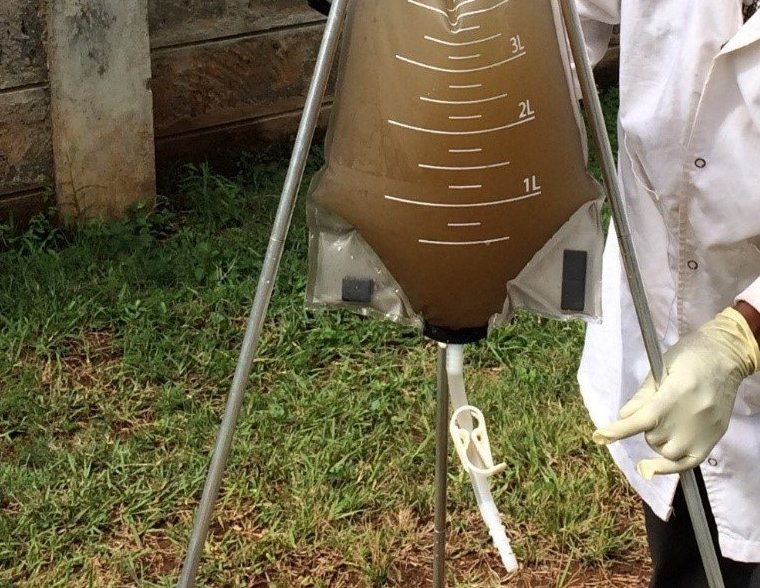 The bag-mediated filtration system captures traces of the poliovirus in wastewater