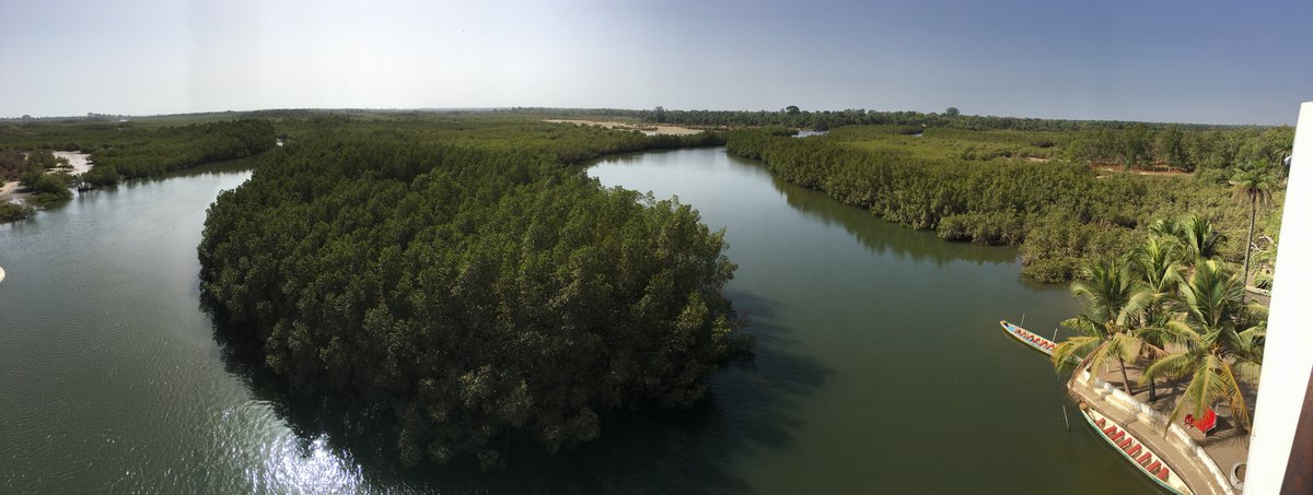 The Gambia River. Photo: PATH/Lauren Newhouse