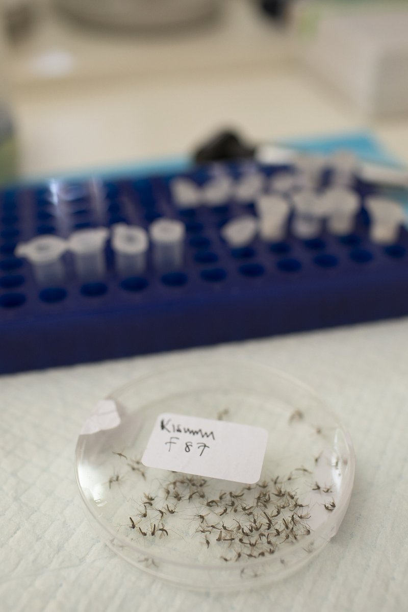 PATH/Enoch Kavindele Jr.