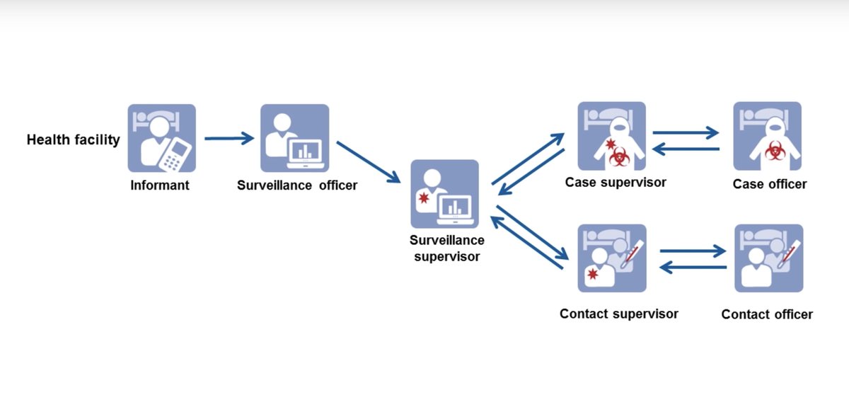SORMAS software model. Credit: HZI